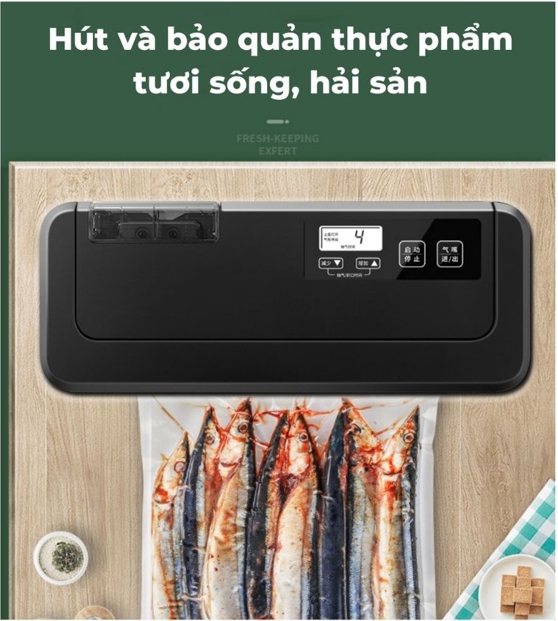 Máy chân không P290B không kén túi - Hàng chính hãng, bảo hành 12 tháng